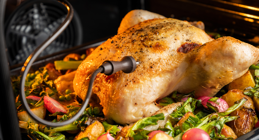 Built in single oven