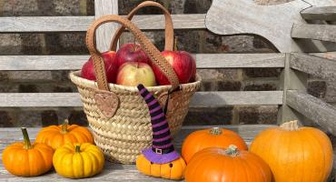 Happy Halloween - celebrate the spooky season with Rangemaster